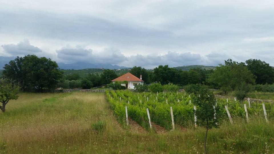 אוברובץ Holiday House Tunjarice מראה חיצוני תמונה