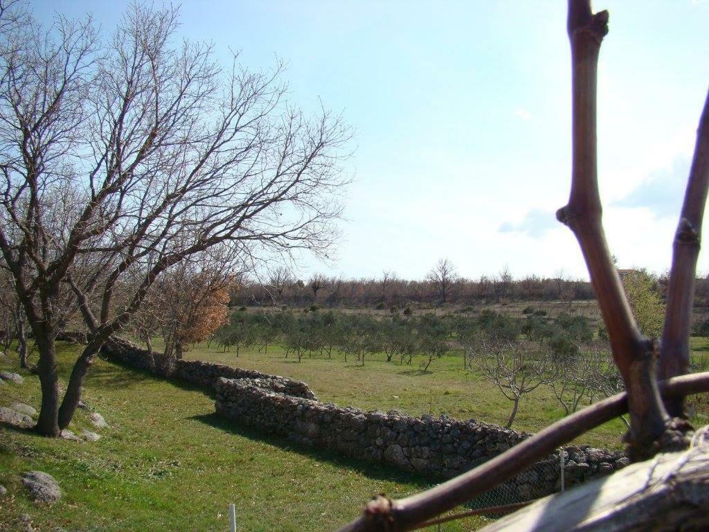 אוברובץ Holiday House Tunjarice מראה חיצוני תמונה